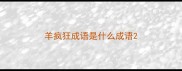 羊疯狂成语是什么成语