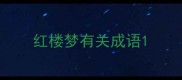 红楼梦有关成语