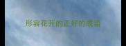 形容花开的正好的成语
