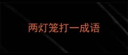 两灯笼打一成语