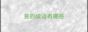 意的成语有哪些