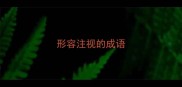 形容注视的成语
