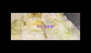 火与水成语