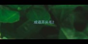 成语开头毛