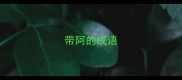 带阿的成语
