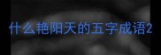 什么艳阳天的五字成语