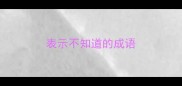 表示不知道的成语