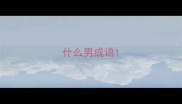 什么男成语