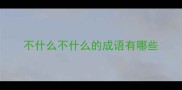 不什么不什么的成语有哪些
