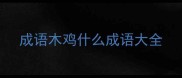 成语木鸡什么成语大全