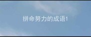 拼命努力的成语
