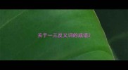 关于一三反义词的成语