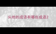 头地的成语有哪些成语
