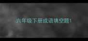六年级下册成语填空题