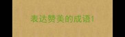 表达赞美的成语