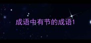 成语中有节的成语