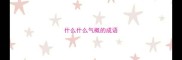 什么什么气概的成语