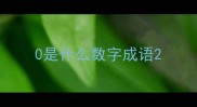 0是什么数字成语