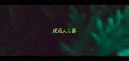 成语大全喜