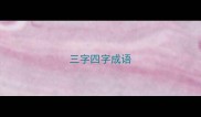 三字四字成语