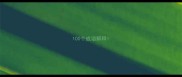 100个成语解释