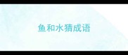 鱼和水猜成语