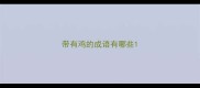 带有鸡的成语有哪些