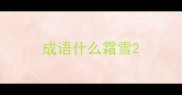 成语什么霜雪