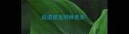 成语接龙明辨是非