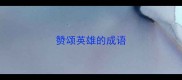 赞颂英雄的成语