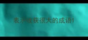 表示收获很大的成语