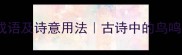 20个描写鸟声的成语及诗意用法古诗中的鸟鸣意境爆款文案灵感库