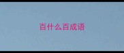百什么百成语