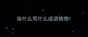 指什么骂什么成语植物