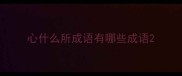 心什么所成语有哪些成语