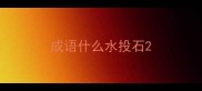 成语什么水投石