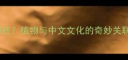 常见树木开花成语有哪些植物与中文文化的奇妙关联附10个经典例句