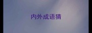 内外成语猜