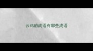云鸡的成语有哪些成语