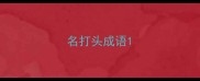 名打头成语