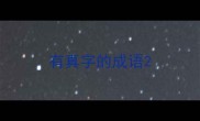有真字的成语