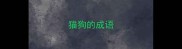 猫狗的成语