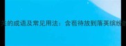 50个与花有关的成语及常见用法含苞待放到落英缤纷的文学密码