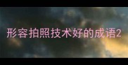 形容拍照技术好的成语