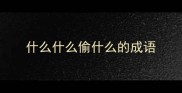 什么什么偷什么的成语