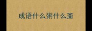 成语什么粥什么齑