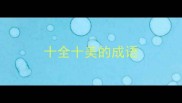 十全十美的成语