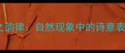 风之韵律自然现象中的诗意表达