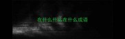 在什么什么在什么成语