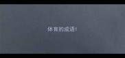 体育的成语
